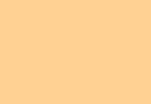 Rectangle 123
